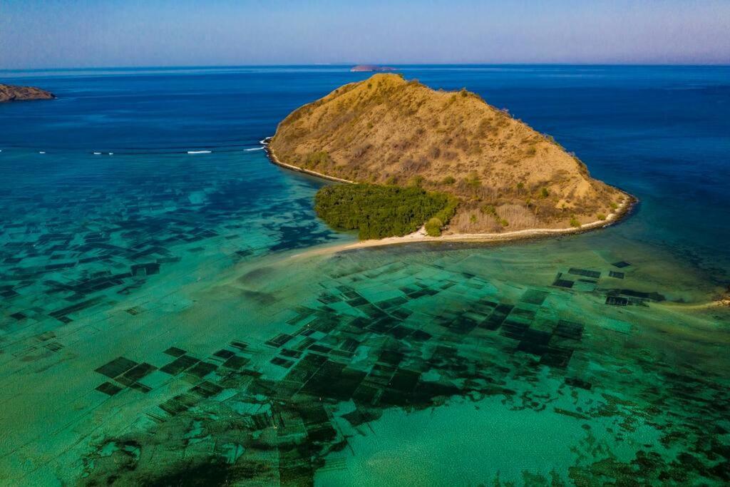 Beach-Front Sumbawa Surf House Lemonga المظهر الخارجي الصورة